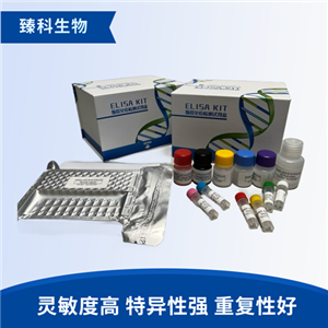 大鼠增殖细胞核抗原(PCNA）elisa试剂盒