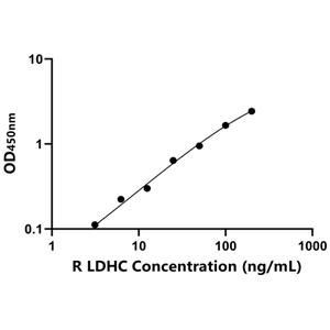 LDHC ELISA KIT / 大鼠乳酸脱氢酶C ELISA试剂盒  