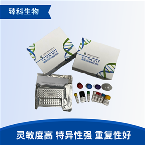 大鼠纤维蛋白肽A(FPA）elisa试剂盒