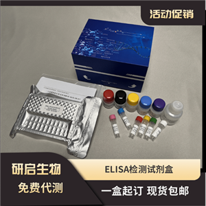 小鼠CC趋化因子受体6(CCR6）ELISA试剂盒