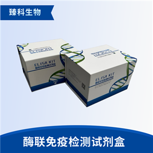 人胰岛素样因子5(INSL5）检测试剂盒（ELISA法）