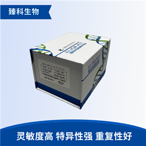 人胰岛素样因子5(INSL5）检测试剂盒（ELISA法）