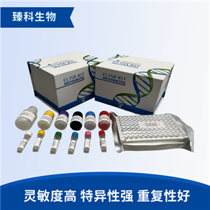人乙醛脱氢酶家族1-A3(ALDH1A3）检测试剂盒（ELISA法）