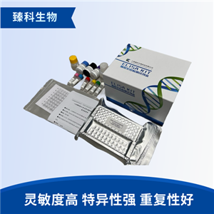 人乙酰CoA羧化酶1(ACC1）检测试剂盒（ELISA法）