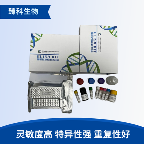 大鼠神经损伤诱导蛋白1(NINJ1）elisa试剂盒