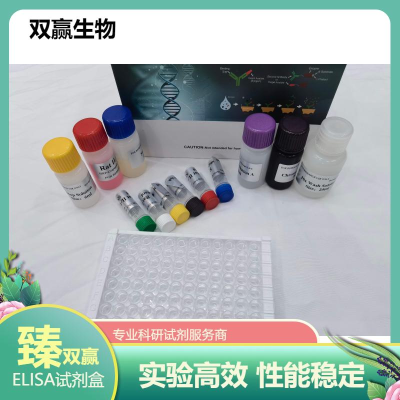 人沙眼衣原体IgA抗体(CT-IgA)ELISA试剂盒