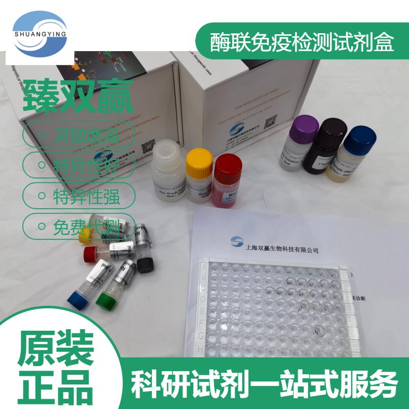 人α烯醇化酶(ENO1/ENO1L1/MBPB1/MPB1)ELISA试剂盒,ENO1/ENO1L1/MBPB1/MPB1 ELISA Kit