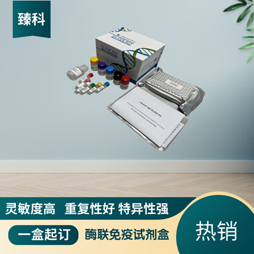 大鼠甲状腺素(T4）ELISA试剂盒,Rat T4 ELISA KIT