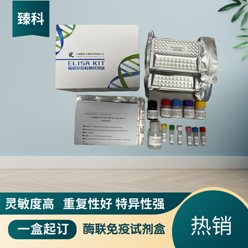 大鼠烟酰胺腺嘌呤二核苷酸磷酸(NADPH）ELISA试剂盒,Rat NADPH ELISA KIT