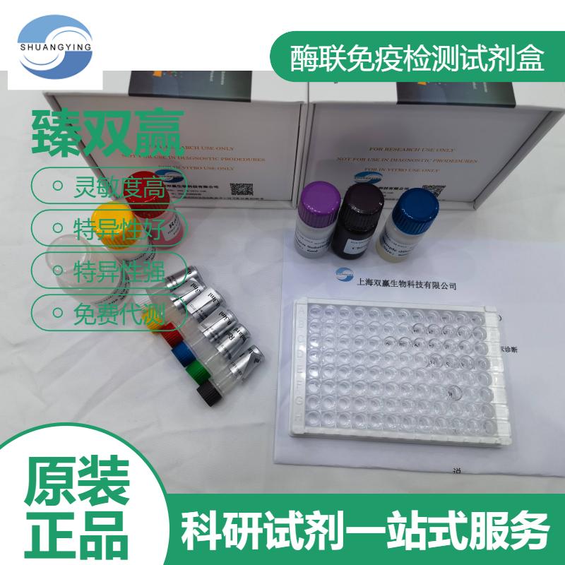 人DNA损伤诱导转录因子4样蛋白(DDIT4/RTP801)ELISA试剂盒