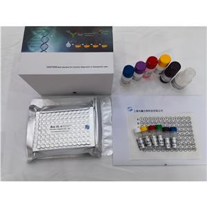 人尿蛋白(UP)ELISA试剂盒