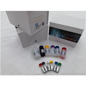 人神经生长因子诱导蛋白(VGF)ELISA试剂盒