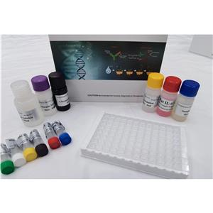 人金属肽酶含血小板反应蛋白7(ADAMTS7)ELISA试剂盒