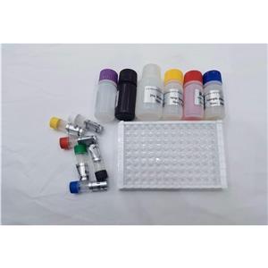 人金属肽酶含血小板反应蛋白7(ADAMTS7)ELISA试剂盒