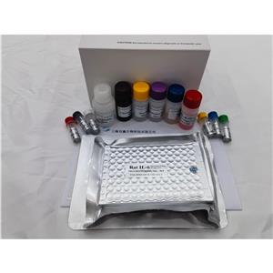 人分泌性热休克蛋白90(SHSP-90)ELISA试剂盒