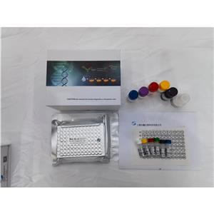 人补体因子H抗体(CFH-Ab)ELISA试剂盒