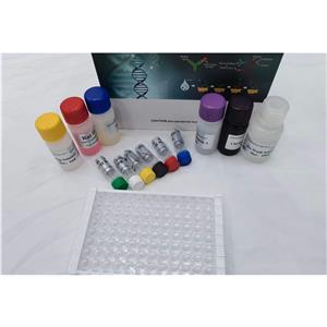 人丙二酸单酰辅酶A(MCA)ELISA试剂盒