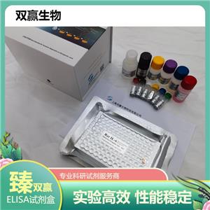 人胰岛素细胞抗体(ICA)ELISA试剂盒