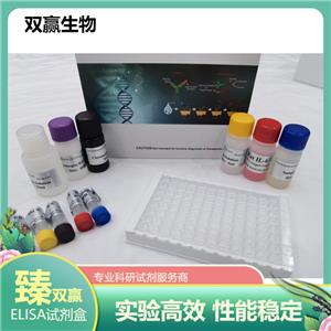 人β肌动蛋白酶(β-actin Enzym)ELISA试剂盒