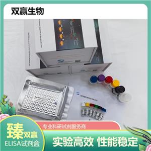 人胰岛素抗体(IA)ELISA试剂盒