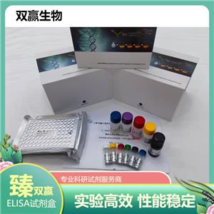 人氧化低密度脂蛋白IgG抗体(OxLDL-IgG)ELISA试剂盒