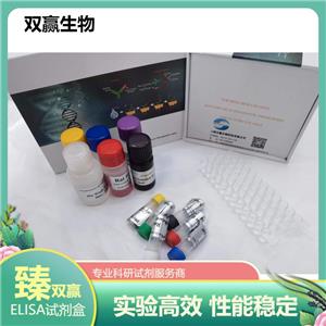 人谷氨酸脱羧酶65抗体(GADA65-Ab)ELISA试剂盒