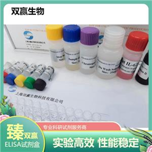 人谷氨酸脱羧酶65抗体(GADA65-Ab)ELISA试剂盒