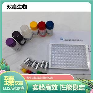 人原钙黏素1(PCDH1)ELISA试剂盒
