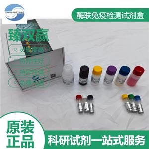 人α烯醇化酶(ENO1/ENO1L1/MBPB1/MPB1)ELISA试剂盒,ENO1/ENO1L1/MBPB1/MPB1 ELISA Kit