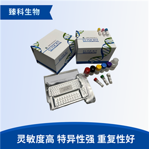 大鼠鸟氨酸脱羧酶(ODC）elisa试剂盒