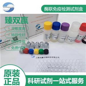 人β肌动蛋白(β-actin )ELISA试剂盒