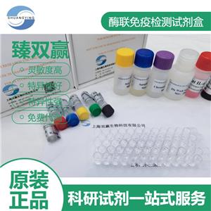 人凝血因子XIII A1(F13A1)ELISA试剂盒