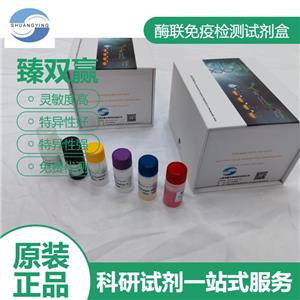 人C-kit蛋白（C-kit)ELISA试剂盒