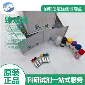 人C-kit蛋白（C-kit)ELISA试剂盒