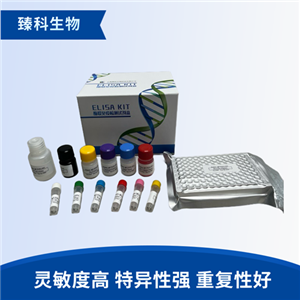大鼠钠通道SCN1A基因(SCN1A）elisa试剂盒