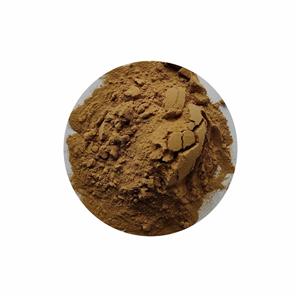 柏子仁提取物,Semen Biotae Shelled Extract