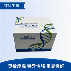 大鼠磷脂肌醇3激酶(PI3K）elisa试剂盒
