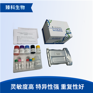 大鼠抗胰岛素受体抗体(AIRA）elisa试剂盒