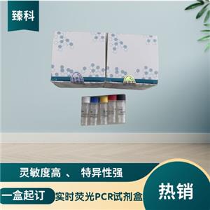 蓝舌病病毒核酸检测试剂盒（荧光PCR法）