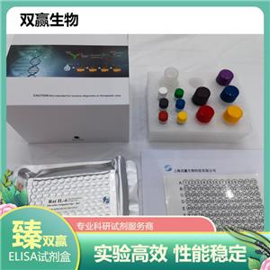 人Derlin1蛋白(DERL1)ELISA试剂盒