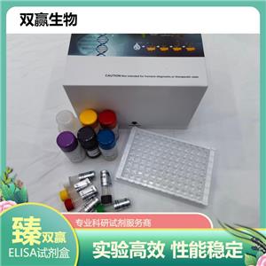 人Derlin1蛋白(DERL1)ELISA试剂盒