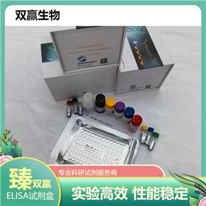 人叶酸受体自身抗体(FRAA)ELISA试剂盒