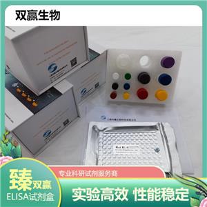 人α1受体自身抗体(ADRA1Ab)ELISA试剂盒