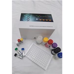 人神经生长因子4(NGF4)ELISA试剂盒