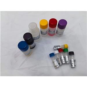 人神经生长因子4(NGF4)ELISA试剂盒