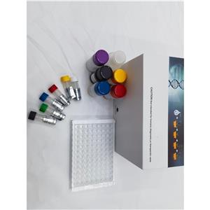 人抗Laminaribioside糖抗体(ALCA)ELISA试剂盒