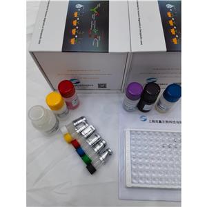 人抗Chitobioside糖抗体(ACCA)ELISA试剂盒