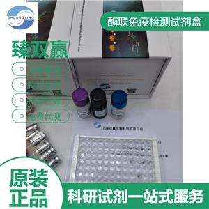 人核因子κB抑制物激酶(IKK)ELISA试剂盒