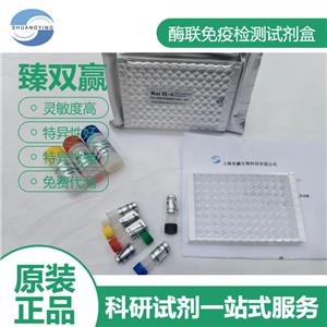 人β肌动蛋白酶(β-actin Enzym)ELISA试剂盒