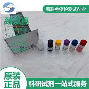 人β肌动蛋白酶(β-actin Enzym)ELISA试剂盒